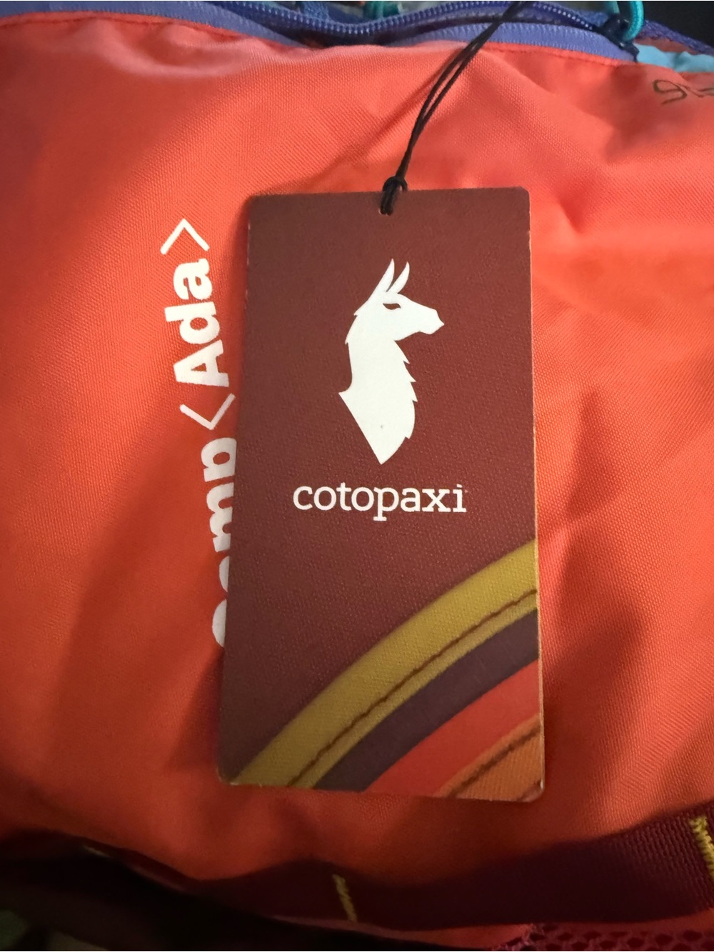 cotopaxi Camp Ada backpack in coral with blue and purple accents - Picture 4 of 4